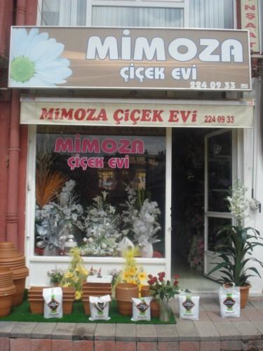 Mimoza Çiçek Evi